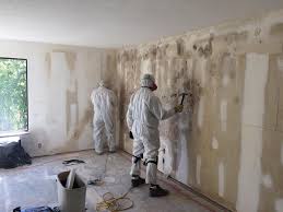 Best Environmental Consulting for Mold Prevention  in Savoy, IL